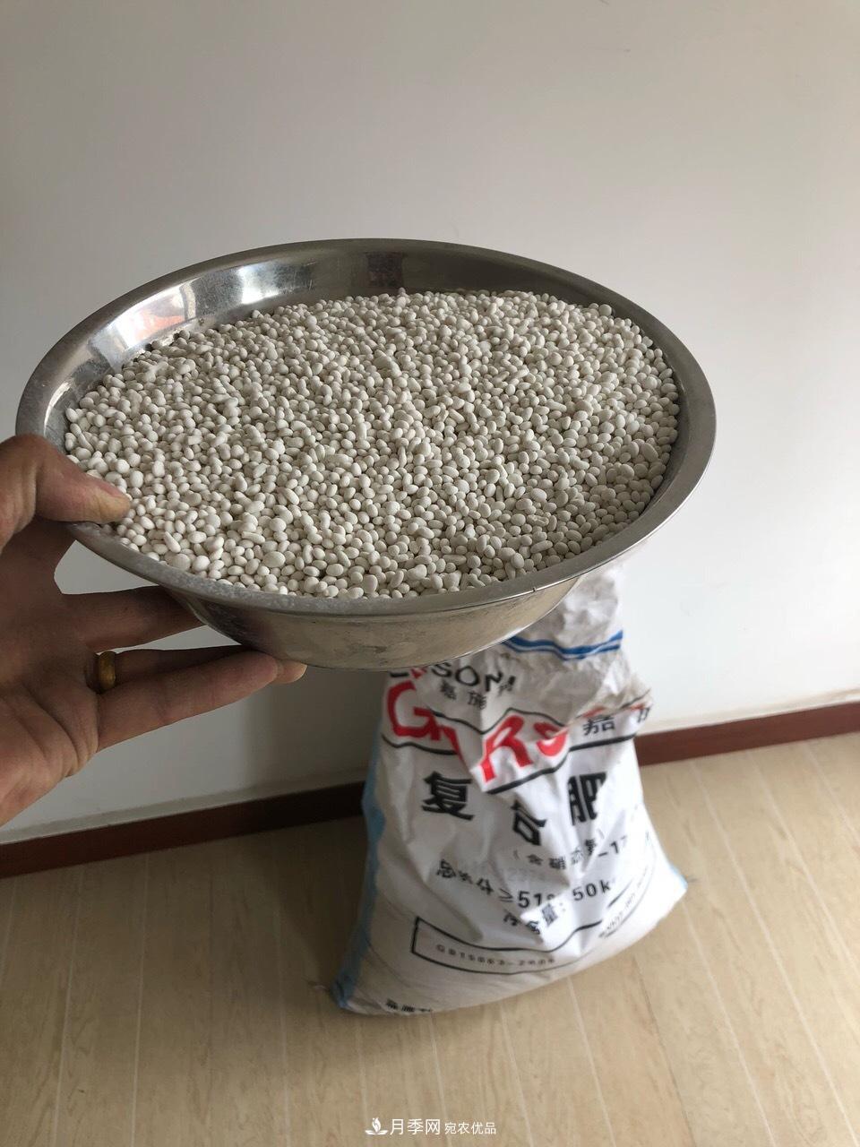 养月季花必备“3种肥”,每月花盆撒一点(图2) 养月季花必备“3种肥”,每月花盆撒一点(图2)
