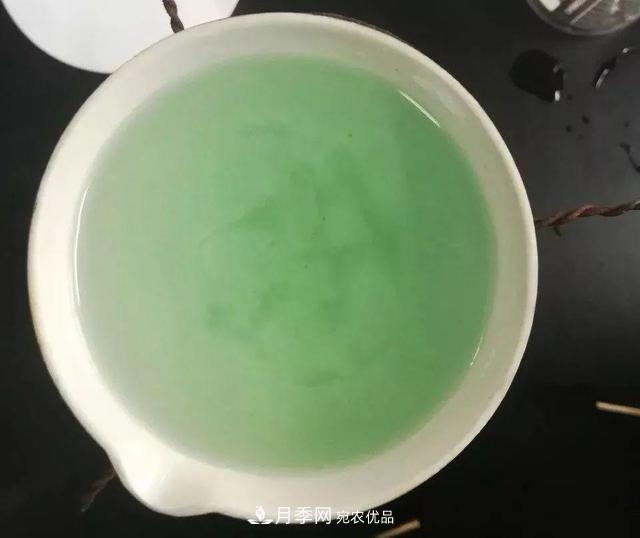 养月季花必备“3种肥”,每月花盆撒一点(图5) 养月季花必备“3种肥”,每月花盆撒一点(图5)