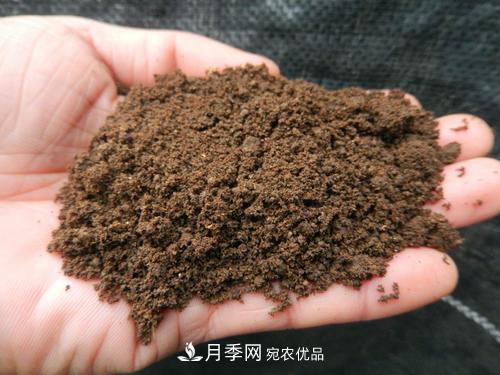 9月又到换盆时,盆里加点“特殊料”,怎么养都爆盆(图1) 9月又到换盆时,盆里加点“特殊料”,怎么养都爆盆(图1)