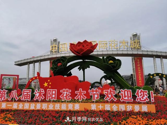 2020年第八届中国沭阳花木节(图1)
