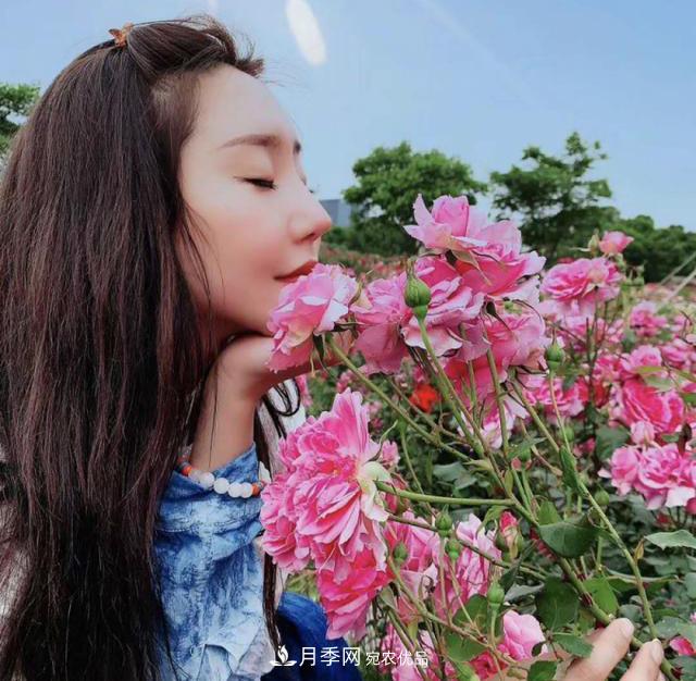 苏州抖起来达人谷月季花海……网红打卡地(图1)