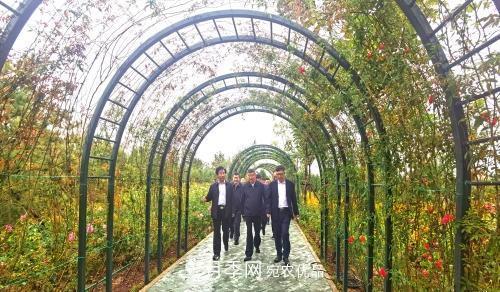 北京京宛友谊月季园，纪念南水北调南阳深厚友谊(图2)