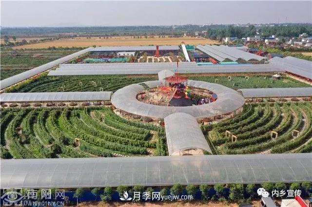 游玩好去处!内乡县灌涨镇欧月花海风情园盛妆开园(图1) 游玩好去处!内乡县灌涨镇欧月花海风情园盛妆开园(图1)