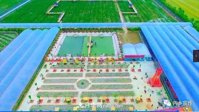 游玩好去处!内乡县灌涨镇欧月花海风情园盛妆开园(图9) 游玩好去处!内乡县灌涨镇欧月花海风情园盛妆开园(图9)