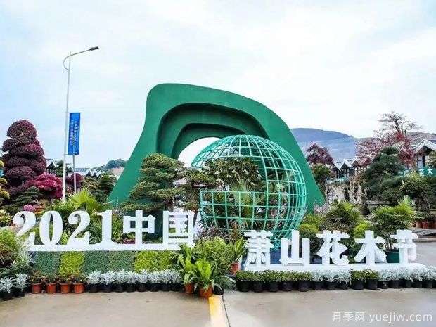花木城：杭州中栋国际花木城(图1)