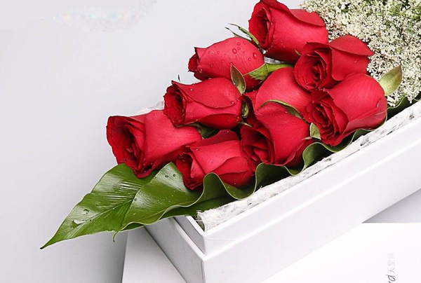 9朵玫瑰的花语是什么？9朵玫瑰的寓意和象征(图3)