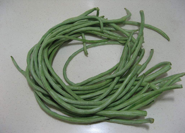 豇豆怎样育苗？高产豇豆种植技术(图1)
