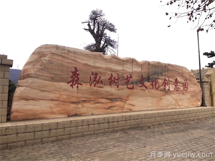 大型景观石常见的几种类型(图1)