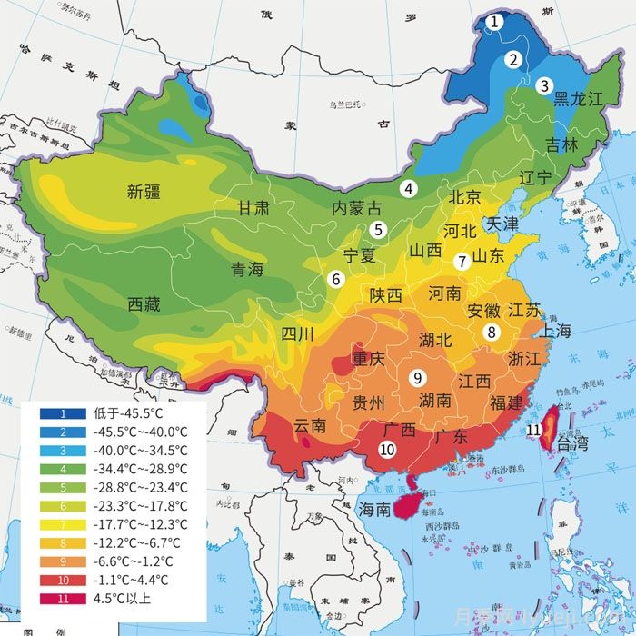 全国月季12月花事,12月份月季应该如何养护?(图2) 全国月季12月花事,12月份月季应该如何养护?(图2)