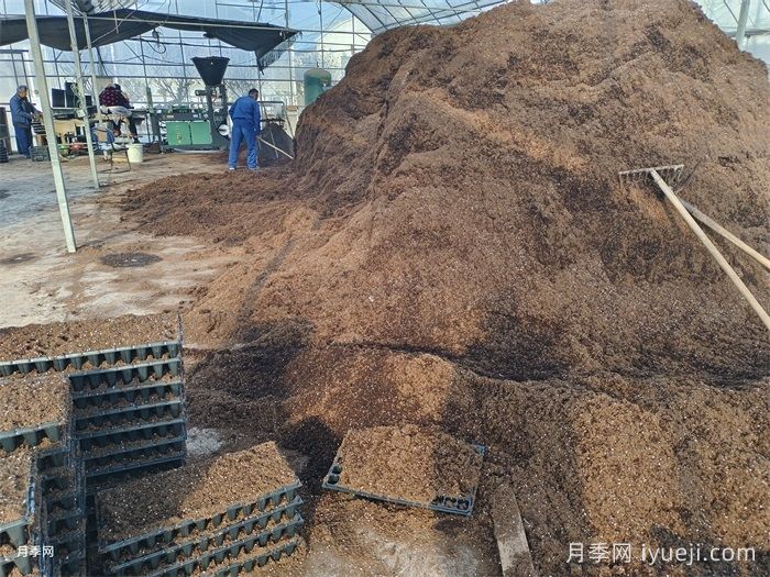 养花用有机肥还是无机肥好？(图1)