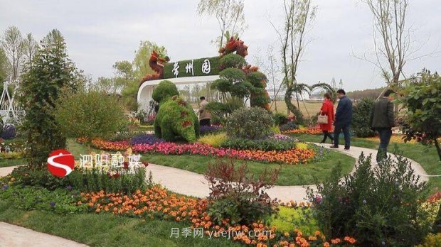 第十一届中国月季展览会：走进常州展园(图1)