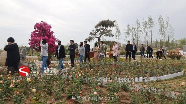 第十一届中国月季展览会:走进青州展园(图3) 第十一届中国月季展览会:走进青州展园(图3)