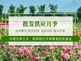 苗圃简介