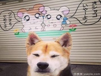 园林植物锈病类是怎么回事？园林植物锈病类是？