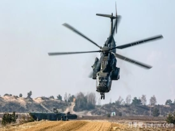 北京哪里有黑月季和蓝月季、或绿月季 北京月季