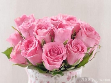 粉色玫瑰花有哪些寓意
