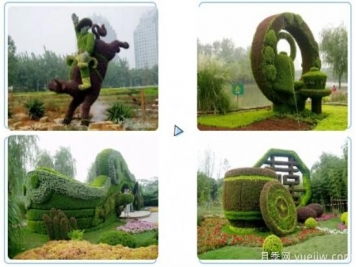 植物立体造型的几种思路