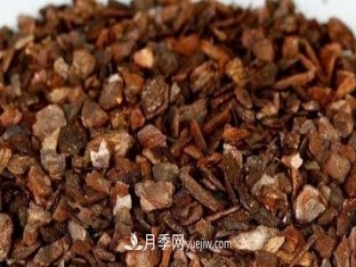 园林景观绿化中松树皮的应用