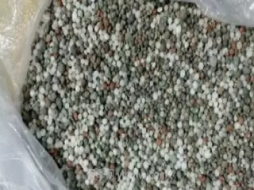 复合肥养月季使用方法