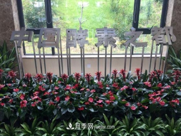 南召县打造中国酵素之都 产品占全国市场三分之一