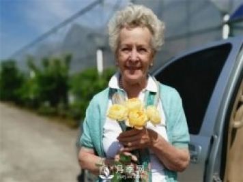 歌笛月季，一个被世界月季委员会主席选择的月季品种