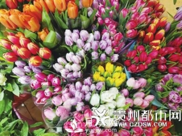 贵阳近期鲜花涨价 玫瑰花卖到70元一把