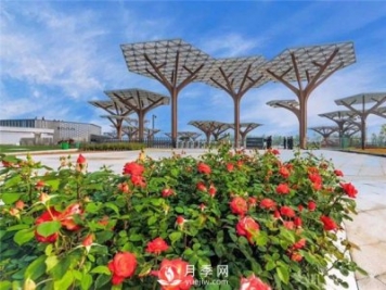 南阳世界月季大观园景区简介
