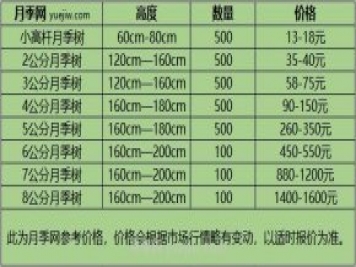 1-10公分月季树价格是多少？树状月季5月报价单！