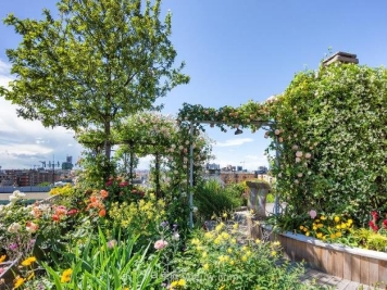 露台花园打造注意事项，以及优良花木品种推荐