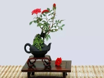 如何制作漂亮的月季盆景？艺术品来了