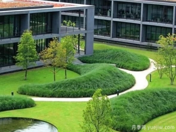 怎样判断草坪质量的好坏？看4个评价指标