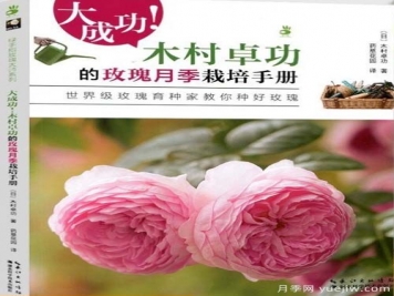 月季图书：木村卓功《大成功！木村卓功的玫瑰月季栽培手册 》