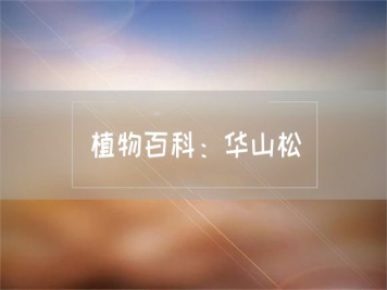 植物百科：华山松