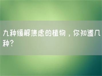 九种缓解焦虑的植物，你知道几种？