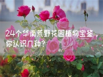 24个华南荒野花园植物宝鉴，你认识几种？