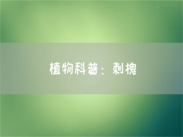 植物科普：刺槐