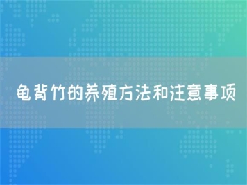 龟背竹的养殖方法和注意事项