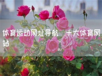 体育运动网址导航_十大体育网站