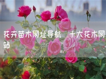 花卉苗木网址导航_十大花木网站