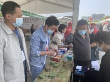 南阳卧龙艾草产业——一片艾草的春天故事