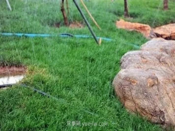 园林常用的4种节水灌溉技术