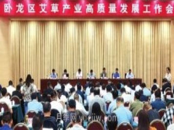 打造“中国艾草之乡”，南阳市卧龙区引领艾草产业高质量发展