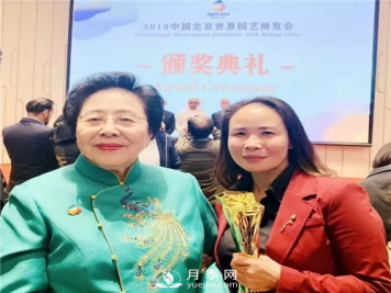 北京大兴月季工匠——王波