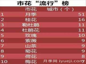 春色满园关不住，为何月季领风骚？