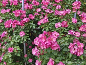 电脑软件官网网址导航_十大电脑软件网站