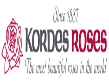 月季育种家：德国科德斯玫瑰公司(Kordes)