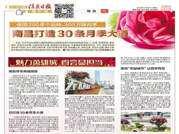 打造30条月季大道 江西南昌月季满城绽放