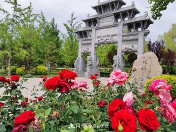 北京丰台看亭台楼阁赏各色月季