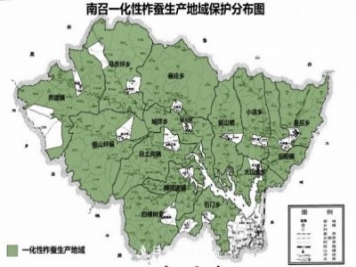 河南南召：柞蚕首个获得地理标志认证