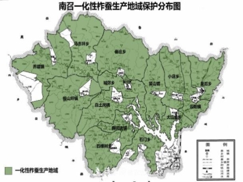 河南南召：柞蚕首个获得地理标志认证